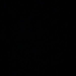 Meet your Posher, Vince